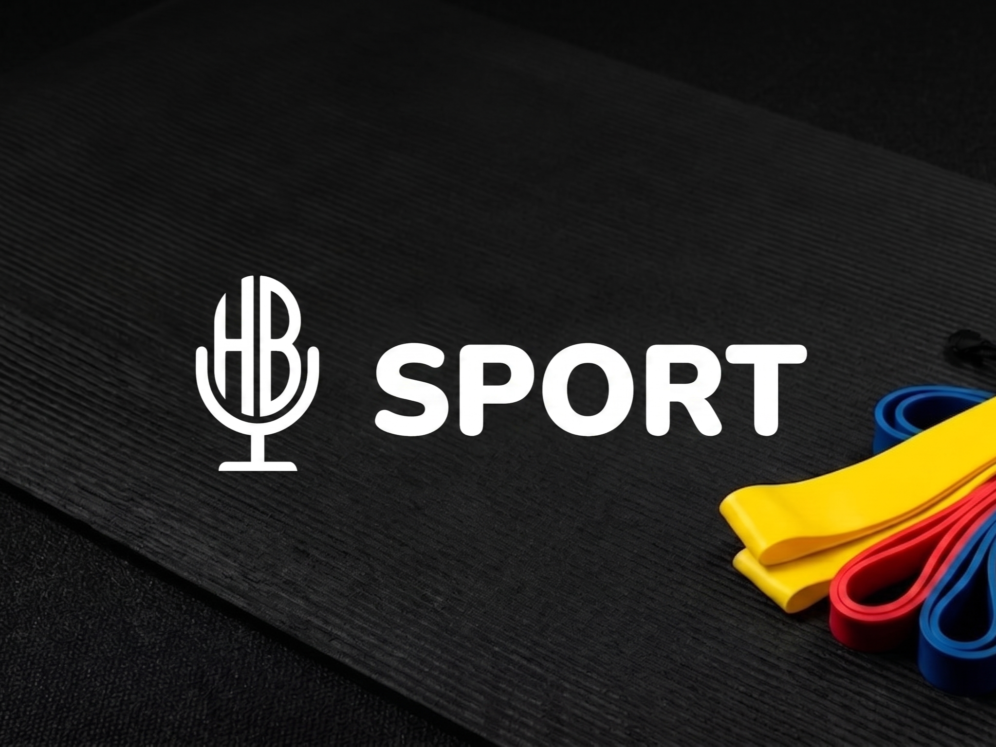HitBit Sport Logo